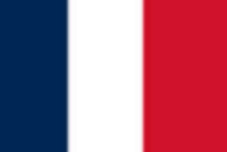 Ensign of France.svg 1