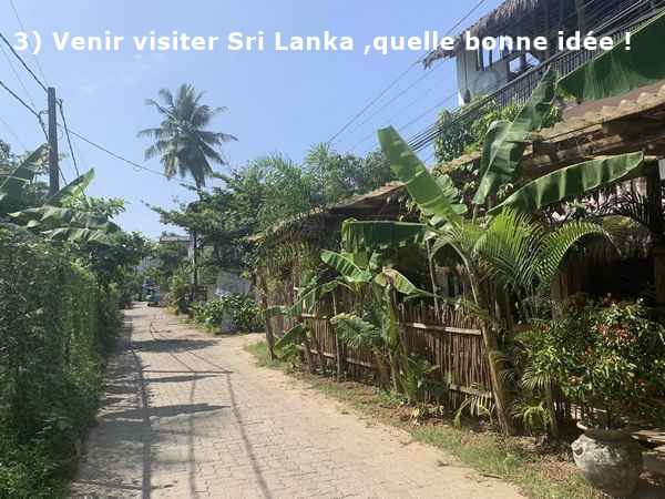 Une ruelle à Sri Lanka 1