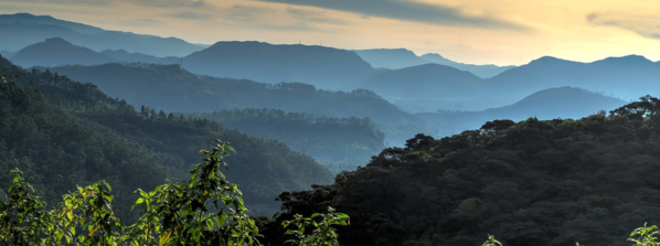 Les montagnes de  Sri Lanka