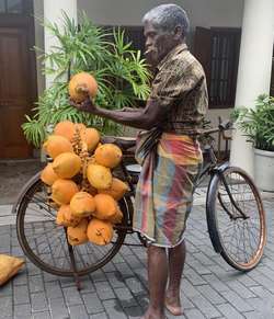 vendeur de coco à vélo