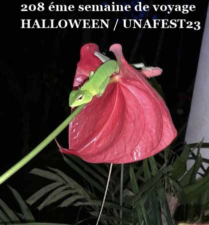 entête blog halloween unafest23 Unawatuna
