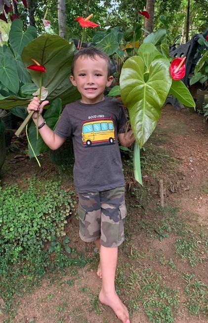 Leon tien un bouquet d hibiscus