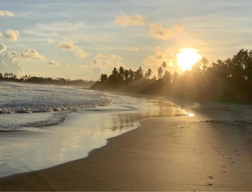 une plage du Sri Lanka