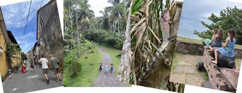 promenade dans Sri Lanka