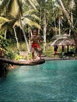 Léon saute dans une piscine sri lankaise